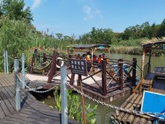 -上海长兴岛郊野公园