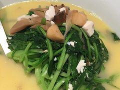上汤鸡毛菜-四季民福烤鸭店(前门廊房二条店)