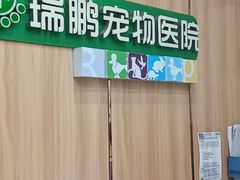 -瑞鹏宠物医院·夜间急症·心超·猫科(祖庙分店)