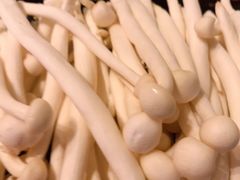 -大渝火锅(苏州西城永捷店)