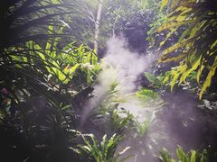 -呀诺达热带雨林