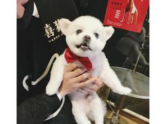 -喜狗宠物生活馆(岳州路店)