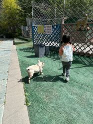 -萌宠亲子动物乐园(槐房万达店)