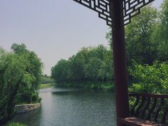 -日照海滨国家森林公园