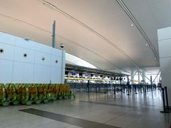 -约翰·菲茨杰拉德·肯尼迪国际机场