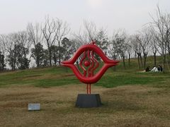 -白鹭湾湿地公园