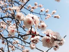 -北京鹫峰国家森林公园