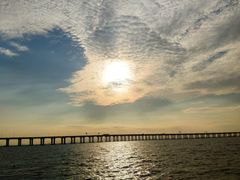 -宝安西湾红树林湿地公园