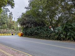 -南国桃园旅游度假区