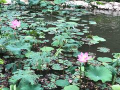 -大平台龙居瀑布旅游区