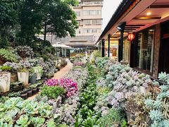 -山菌美食苑(振兴路店)