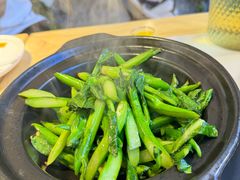 -鸽小宝(深圳首店)