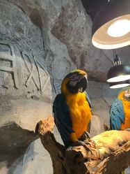 -Zoolung Zoolung动物主题公园(海信广场店)