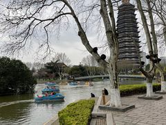 -红梅公园