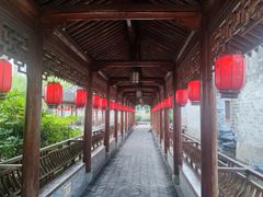 -月湖公园