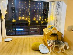 -Husky Go! 哈士奇体验馆·宠物咖啡厅狗咖