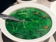 -醉庐·新上海菜(南京西路店)
