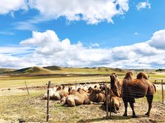 -塞罕坝国家级自然保护区