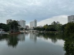 -荔湾湖公园