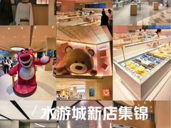 -鹏欣水游城