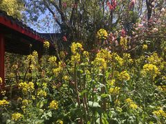 -南汇桃花村