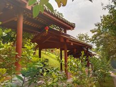 -广州神农草堂中医药博物馆