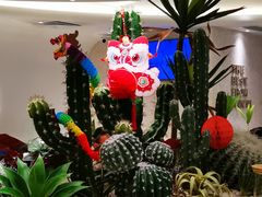 -椰客·海南椰子鸡(天河万菱汇店)