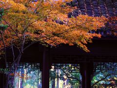 -上海醉白池公园