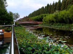 -黄海国家森林公园