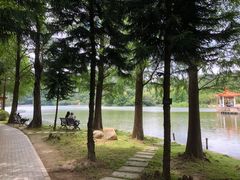 -深圳仙湖植物园-停车场
