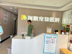 -瑞鹏宠物医院•异宠•宠保定点•流浪定点救助宠物医院(青祁店)