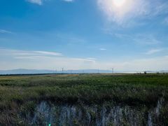 -野鸭湖国家湿地公园