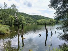 -玉渡山自然风景区
