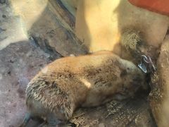 -长鹿旅游休博园