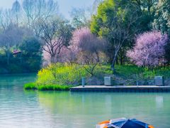 -西溪国家湿地公园