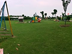 -明珠湖天鹅苑·农家菜馆