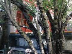 -潭柘寺景区