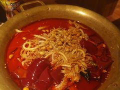 -凯德广场(学府店)