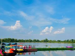 -泗洪洪泽湖湿地景区