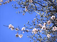 -龙湖星悦荟(颐和店)