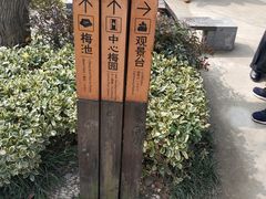 -香雪海