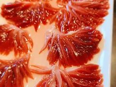 -蜀辣居鲜货老火锅(双流万达店)