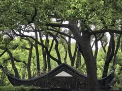 -上海醉白池公园
