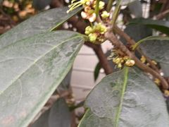 -玉林生活广场