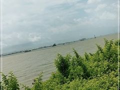 -海鸥岛
