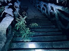 -梧桐山风景名胜区