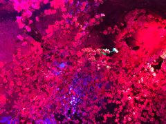 -青藤汗蒸时代会所