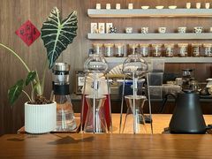 -溯洄咖啡VORTEX COFFEE