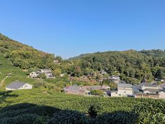 -龙井村