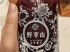 -野萃山·潮汕厚果汁(十亩地店)